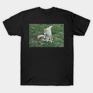 Wolves T-Shirt